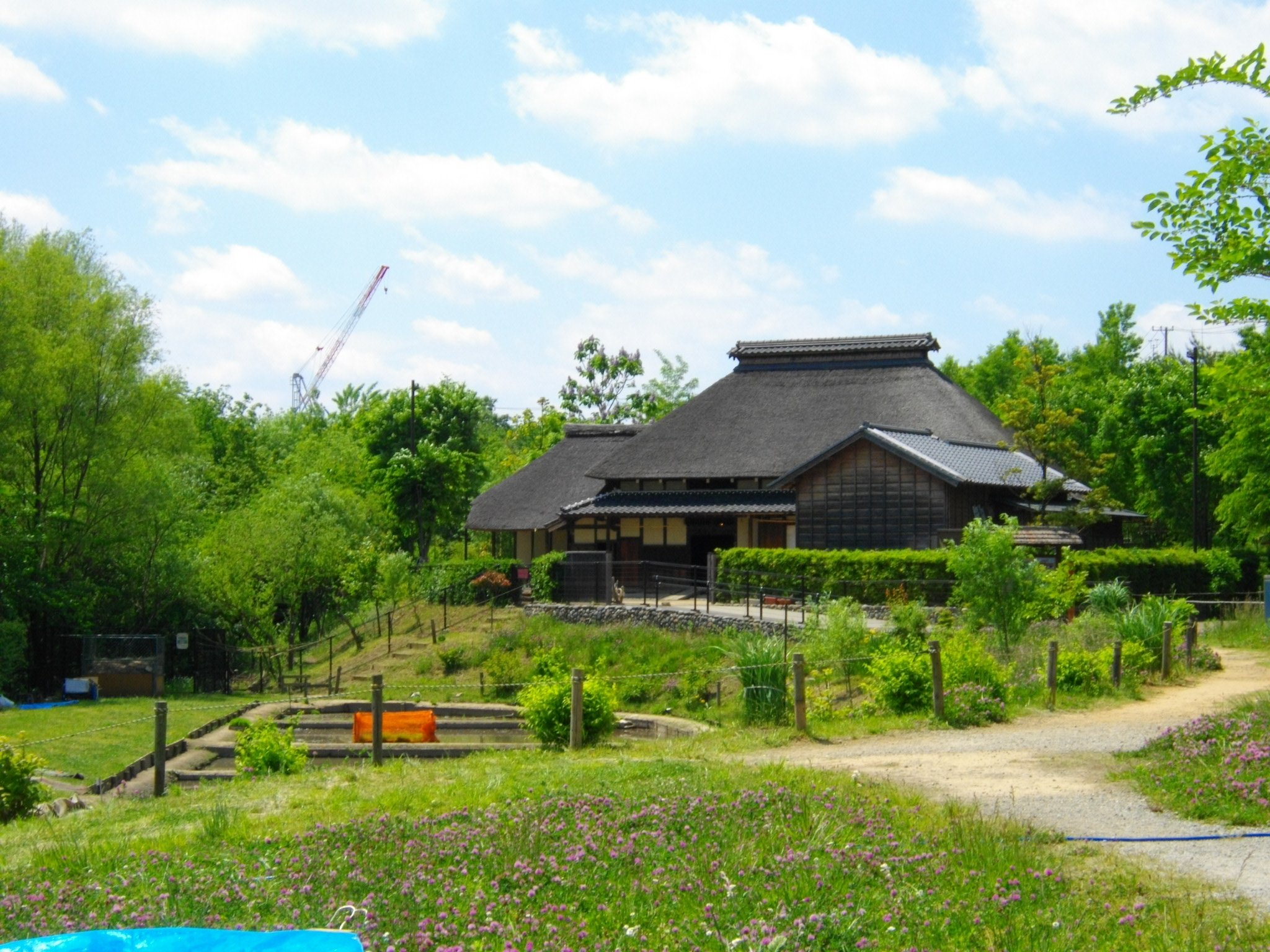 🏞️ 아카바네 자연관찰공원 (아카바네 시젠 칸사츠 코엔) 이미지 6